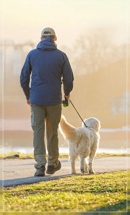 Tierhalterhaftpflichtversicherung, eigentlich eine Pflicht, die wenigsten können für Schäden aufkommen die Ihr Tier verursacht hat-